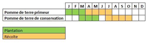 Calendrier récolte et plantation pomme de terre