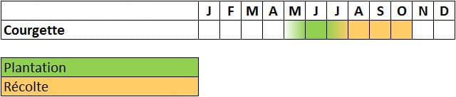 Calendrier de la courgette