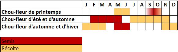 Calendrier chou-fleur