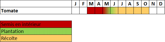 Calendrier tomate