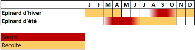 calendrier épinard