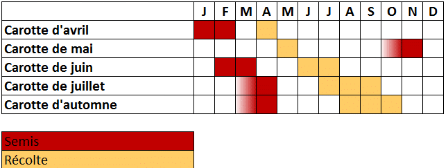 Calendrier carotte