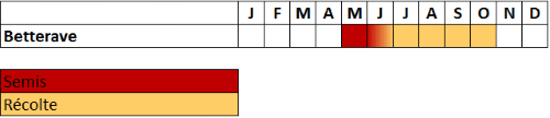Calendrier betterave