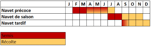 Calendrier navet