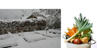 Votre potager en décembre