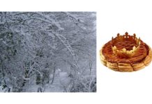 Le potager en janvier