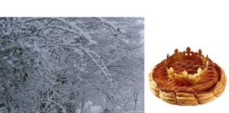 Le potager en janvier