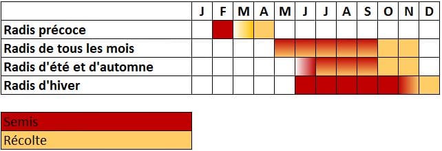 Calendrier radis