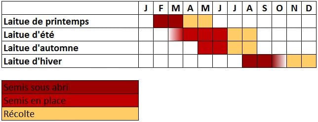 Calendrier laitue