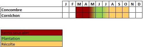 Calendrier concombre et cornichon