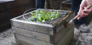 Entretien printanier du potager