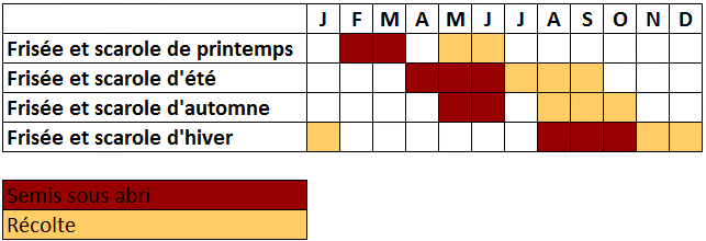 Calendrier chicorée