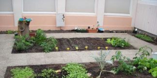 Un potager à l’école