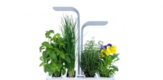 Potager connecté Véritable