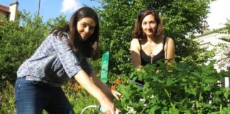 Un potager en libre-service !