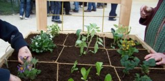 Potager pour les aveugles