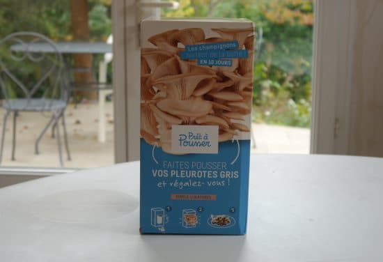 Prêt à pousser plante le kit à champignons