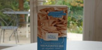 Test du kit Prêt à pousser (pleurotes gris)