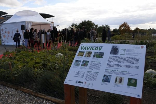 potager-lyonnais-institut-vavilov