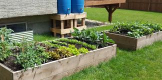 Un potager au travail