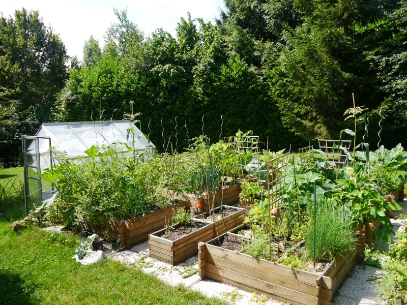 Quel terreau choisir pour votre bac potager ? Remplissez votre carré potager  couche par couche. - DCM