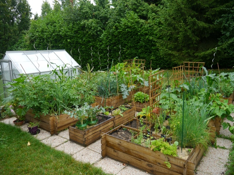 Comment faire un jardin potager en ville ? - Côté Maison