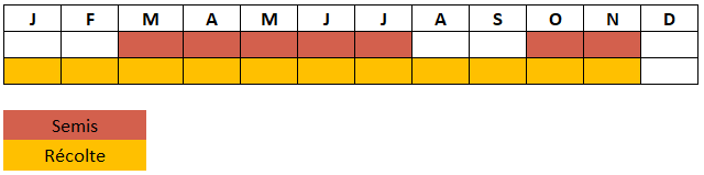 Calendrier Concombre Le généreux