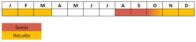 Calendrier Epinard Géant d'hiver