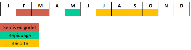 Calendrier Poivron Petit marseillais