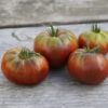 Tomate noire de crimée graines