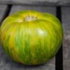 graines Tomate Green zebra