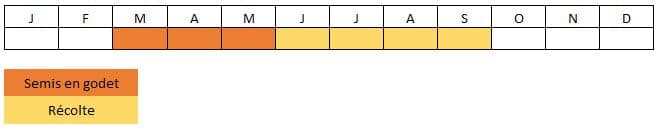 Calendrier cornichon russe