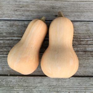 courge-musquee-butternut