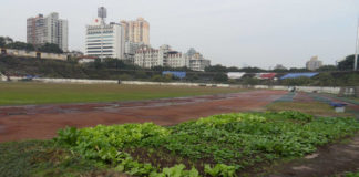 Les terrains de foot, des potagers parfaits ?