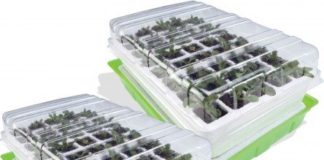 La culture des tomates sous serre Serre de germination