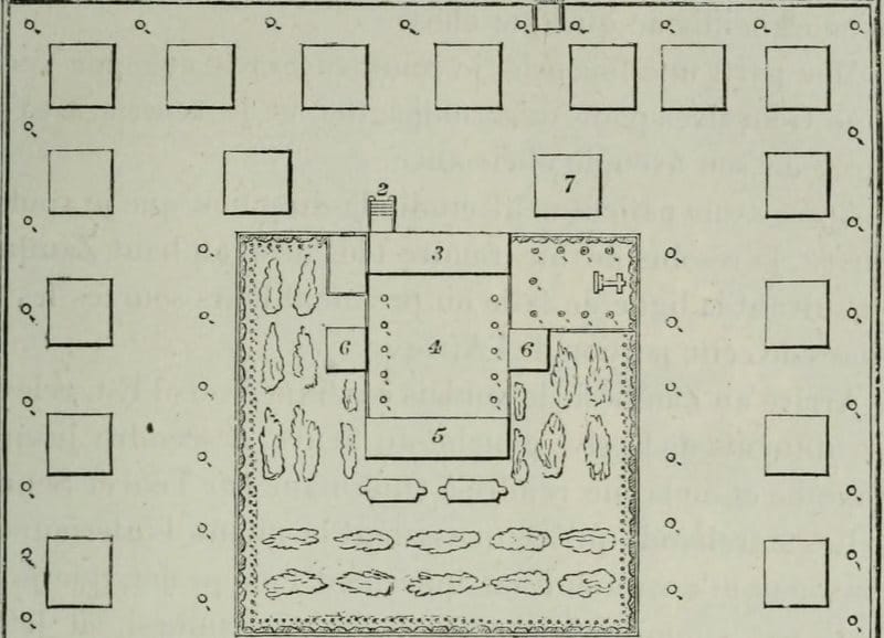 Plan de potager