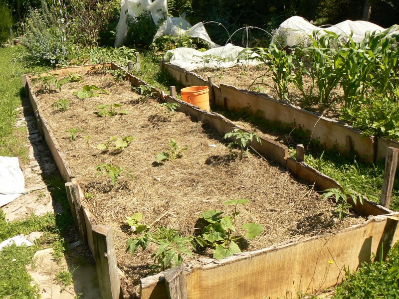 Potager en lasagnes