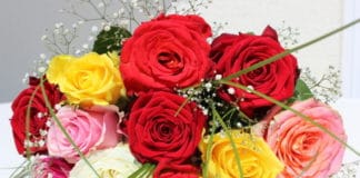 Bouquet de roses : bien choisir le nombre et la couleur ! 11 roses