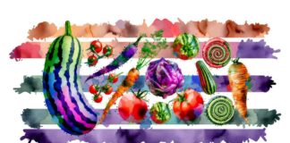 Les légumes insolites à cultiver absolument dans votre potager