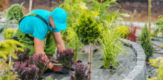Top 3 des meilleurs jardiniers à Boulogne Billancourt
