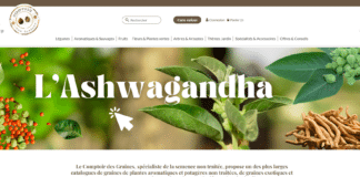 Tout savoir sur le Comptoir des Graines Comptoir des graines