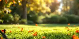 Tonte et scarification de la pelouse avant l’automne : guide complet pour un gazon sain Tonte pelouse automne