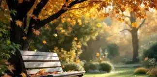 Octobre au jardin : entre récolte, plantation et préparation du terrain Jardin en octobre