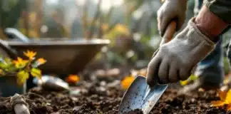 Préparer son sol avant l’hiver : les bons gestes pour un jardin fertile au printemps Préparer son sol avant l'hiver