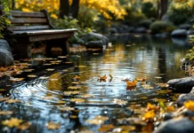 Éviter l’eau trouble dans son bassin à l’automne : causes et solutions naturelles eau trouble bassin automne