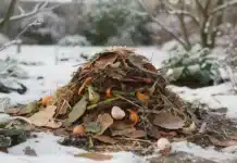 Entretenir son compost en hiver : bonnes pratiques pour un compost actif malgré le froid compost hiver