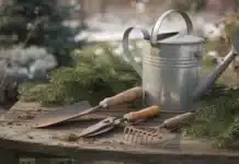 Quels outils de jardin offrir à noël ? Le guide pratique outils à offrir pour Noël