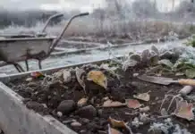 Comment améliorer la terre de son potager pendant l’hiver Améliorer la terre de son potager hiver