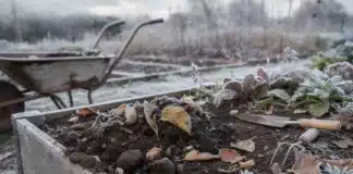 Comment améliorer la terre de son potager pendant l’hiver Améliorer la terre de son potager hiver