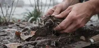 Comment enrichir et améliorer le sol en hiver Enrichir son sol hiver